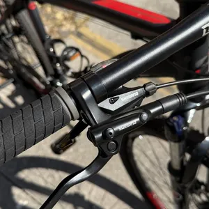 Bike Santini aro 29 — foto 5