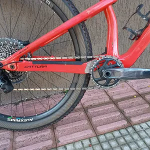 OGGI CATTURA PRO T20 ARO 29 — foto 2
